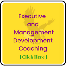 Executive and Management Coaching in Baltimore Maryland D.C. Virginia